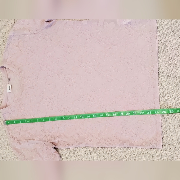 Wilfred Aritizia Dusty Pink Stretchy Sheer Floral Jacquard Top, Med. EUC - Picture 8 of 15